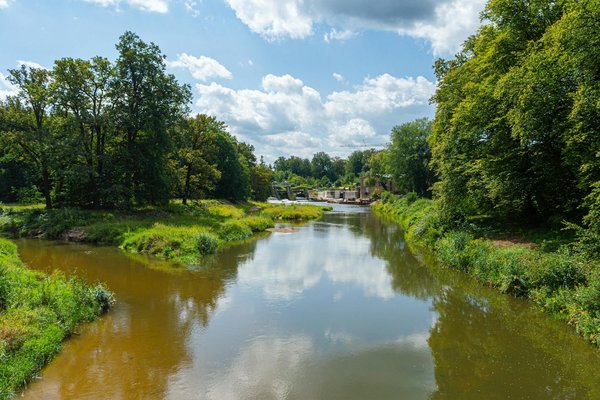 Comment choisir le bon brûleur de graisse pour vos objectifs?